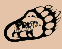 Black bear image display in paw print
